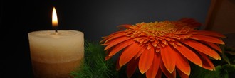 Header_Abdankung_pixabay_kostenlos