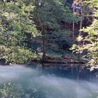 WK Steibachweiher im Sommer